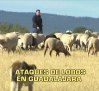 La noche en titulares - 06/10/25