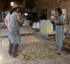 La casa del Mosaico, hogar de una técnica casi extinta