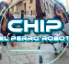 CHIP, el perro robot que pasea por Albacete