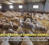 Los nuevos presupuestos de la Junta refuerzan la sanidad animal - 24/10/2025