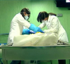 ¿Donarías tu cuerpo a la ciencia?