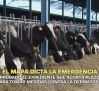 Aprobado el expediente que acorta plazos para tomar medidas contra la dermatosis - 28/10/2025