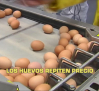 Los huevos repiten precio. La lonja de Toledo aprecia menor tensión - 10/11/2025