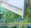 41.611 toneladas en el primer mes de campaña aceitunera - 11/11/2025