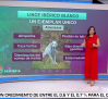 El extraño caso de Satureja, la lince ibérica de pelaje blanco