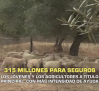 315 millones para seguros - 19/11/2025