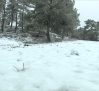 Primera nevada del invierno en la Serranía de Cuenca