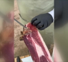 El protagonista del vídeo más viral de año es un cortador de jamón de Guadalajara