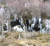 Congeladas las cascadas del nacimiento del río Cuervo