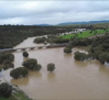 Ríos y arroyos desbordados en la Comarca de Puertollano