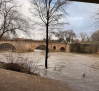 El Henares vuelve al umbral rojo a su paso por Guadalajara