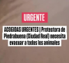 La Protectora de Piedrabuena necesita ayuda