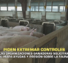 Organizaciones ganaderas piden extremar controles frente a la peste porcina - 20/02/2026