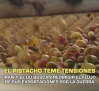 El pistacho teme tensiones comerciales por la guerra en Irán - 06/03/2026