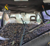 Pillados con 810 kilos de aceituna robada de una finca de Santo Domingo-Caudilla (Toledo)