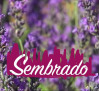 SEMBRADO