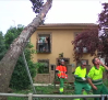 Cae una rama de grandes dimensiones en el jardín de una vivienda en Ciudad Real