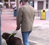 Día internacional del perro guía, jornada para reclamar el acceso a establecimientos