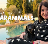 Amparanimals - Programa 5