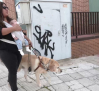 El perro "Hero" son los ojos de Karla y su bebé