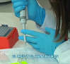 Hantavirus: los expertos piden tranquilidad