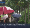 Previsión del tiempo - 12/05/2026