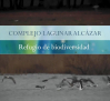 Complejo lagunar de Alcázar, refugio de biodiversidad