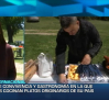 Encuentro de comida internacional en Priego