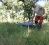 La llegada del calor favorece la proliferación de garrapatas