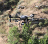 Un tratamiento con dron controlará la plaga de la mosca negra en la ribera del Tajo