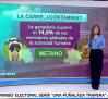 El impacto ambiental que deja la carne
