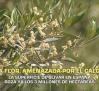 La superficie de olivar en España roza los 3 millones de hectáreas - 21/05/2026