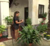 Puesta a punto de los patios toledanos de cara al Corpus