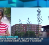 El Ayuntamiento de Puertollano retirará los árboles plataneros tras las quejas de los vecinos