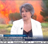 Entrevista a Mercedes Gómez
