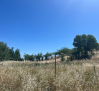 Un fallecido tras el vuelco de un tractor en una finca de Valverde (Ciudad Real)