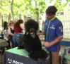 Toledo acoge el primer Concurso Nacional Canino
