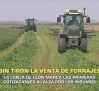 Sin tirón la venta de forrajes - 08/06/2026