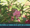 Previsión del tiempo - 09/06/2026