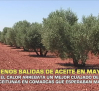 Menos salidas de aceite en mayo - 11/06/2026