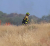 Quemas preventivas para prevenir los incendios forestales