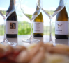 Lazos: vino ecológico en una viña llena de vida