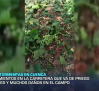 Desprendimientos en carreteras y numerosos cultivos dañados, balance de tormentas en la Manchuela conquense y albaceteña