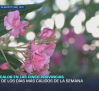 Previsión del tiempo - 01/07/2026