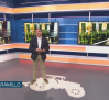 El campo - 01/07/2026