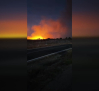 Controlado el incendio forestal a Borox que ha obligado a confinar a vecinos de Nueva Borox