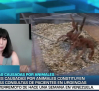 Entrevista a Encarnación Carreño -2/7/2026