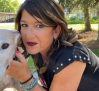 Macarena, la galga desaparecida en Toledo y encontrada en Suiza