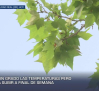 Previsión del tiempo - 02/07/2026