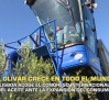 El olivar crece en todo el mundo - 02/07/2026